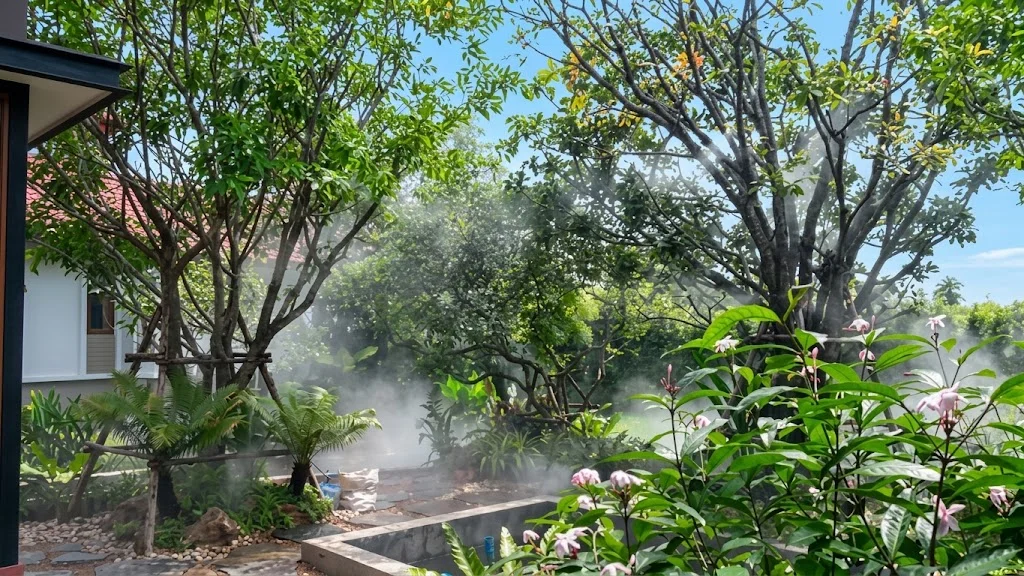 Album image 1